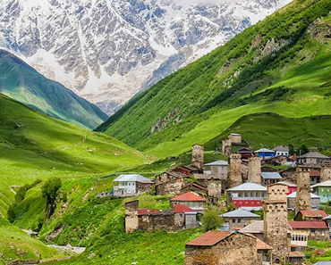 Domestic Travel Agency in Anna Nagar