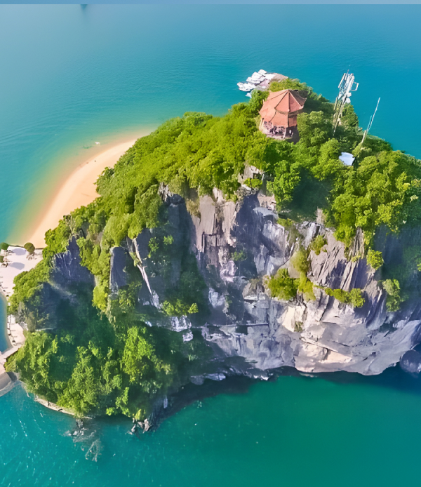 International Travel Agency in Anna Nagar