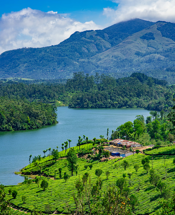 International & Domestic Travel Agency in Anna Nagar